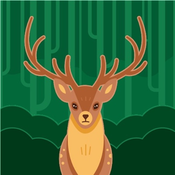 Meet your Posher, Anai - Picture 1 of 1